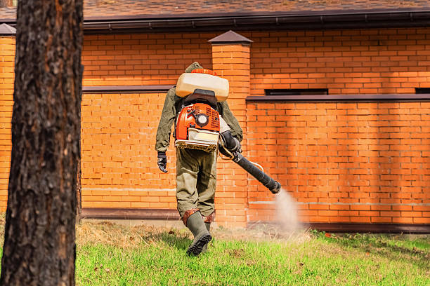 Trusted Termite Control service in Norwood, NY - Nex Pest Control